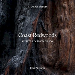Atlas Of Sound - Coast Redwoods - 41°32'09.8"N 124°04'35.5"W