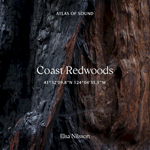 Atlas Of Sound - Coast Redwoods - 41°32'09.8"N 124°04'35.5"W