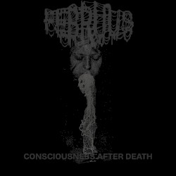 Consciousness After Death