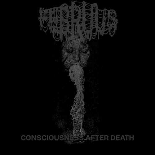Consciousness After Death