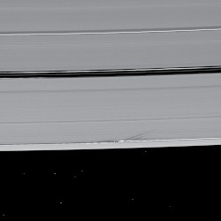 Daphnis