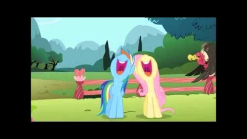 Blue / Flightcamp PMV