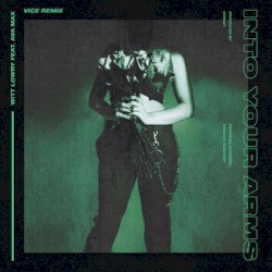 Into Your Arms (Vice remix)