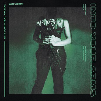 Into Your Arms (Vice remix)