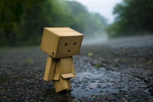Without You