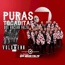 Puras tocaditas que hacian falta, Vol. 1
