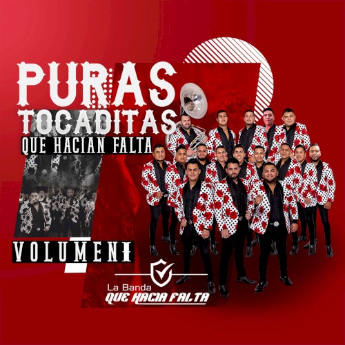Puras tocaditas que hacian falta, Vol. 1