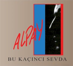 Bu Kaçıncı Sevda