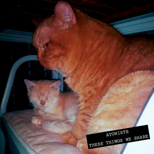 These Things We Share