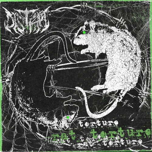 Rat Torture