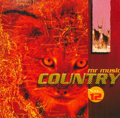 Mr. Music Country 96-12