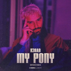 My Pony (Kryder remix) (extended version)