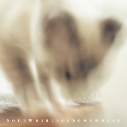 Pyewackit