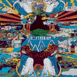 Perceptronium