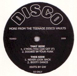 More From the Teenage Disco Vaults