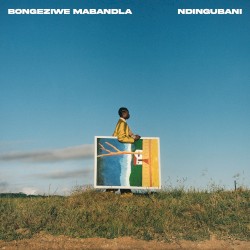 Ndingubani