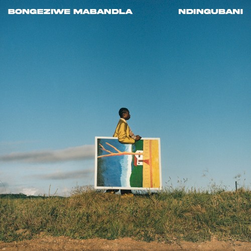 Ndingubani