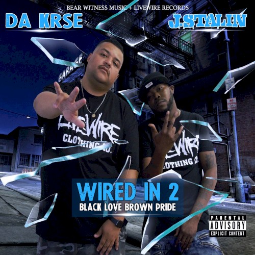 Wired In 2
