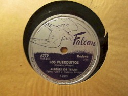 Los puerquitos / Ni amor ni perdón