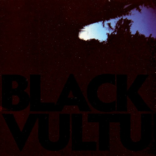 Black Vultures