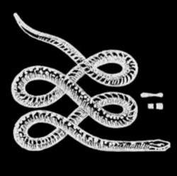 Apophis