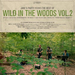 The Best of Wild In the Woods Vol.2