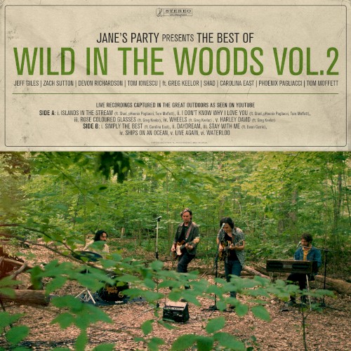 The Best of Wild In the Woods Vol.2