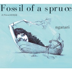 Fossil of a spruce