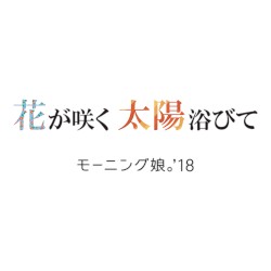 花が咲く 太陽浴びて