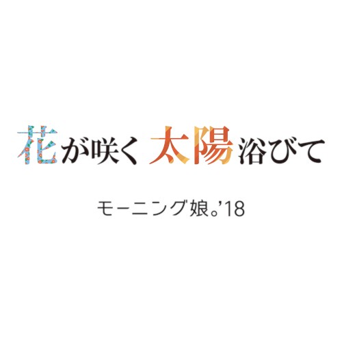 花が咲く 太陽浴びて