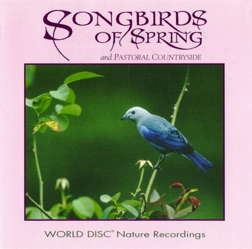 Songbirds of Spring and Pastoral Countryside