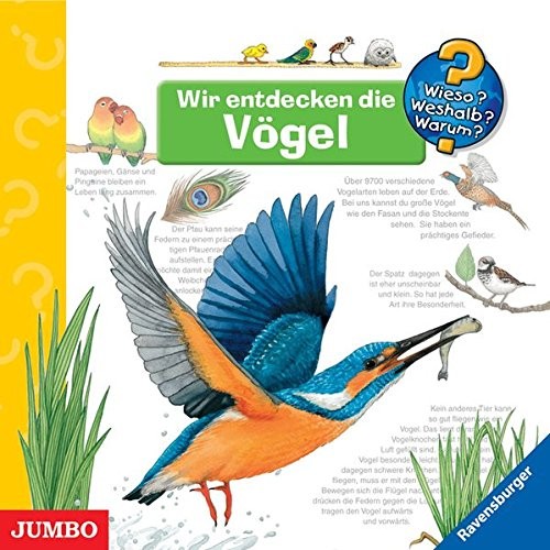 Wir entdecken die Vögel