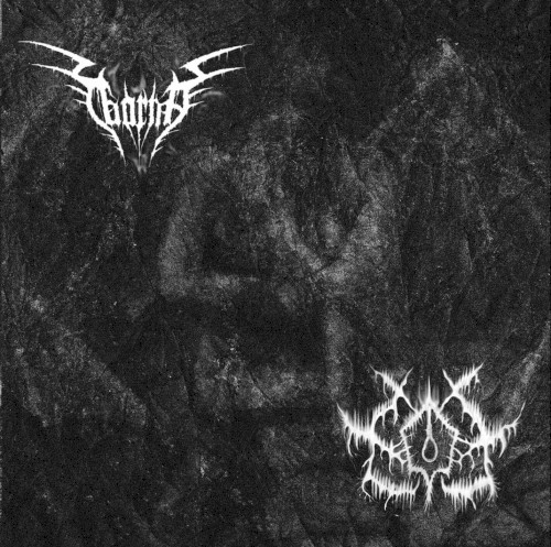 Xerbittert / Taarma