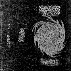 Gaze of the Void