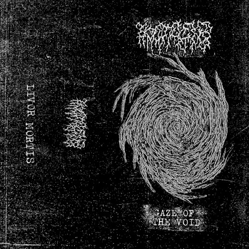Gaze of the Void