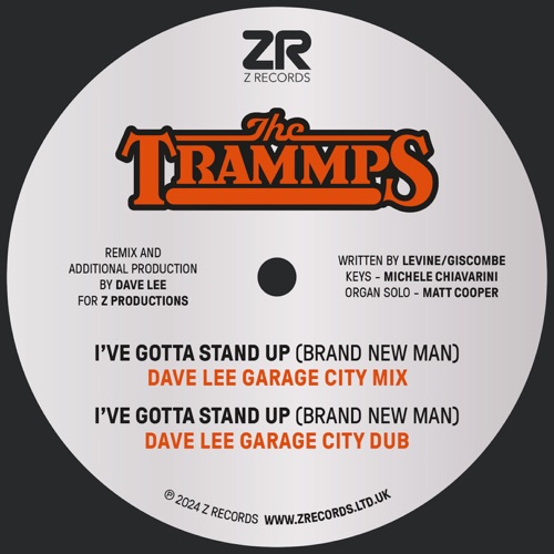 I've Gotta Stand Up (Brand New Man)(Dave Lee Garage City mix)