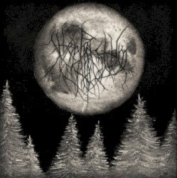 Forest of Forgotten Souls