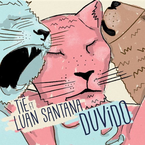 Duvido