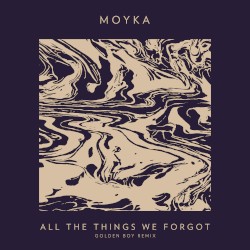 All the Things We Forgot (The Golden Boy remix)