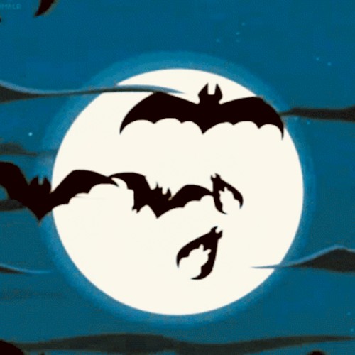 bats under the bridge