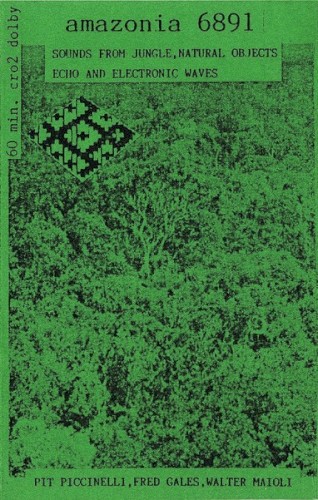 Amazonia 6891: Sounds From Jungle, Natural Objects, Echo and Electronic Waves