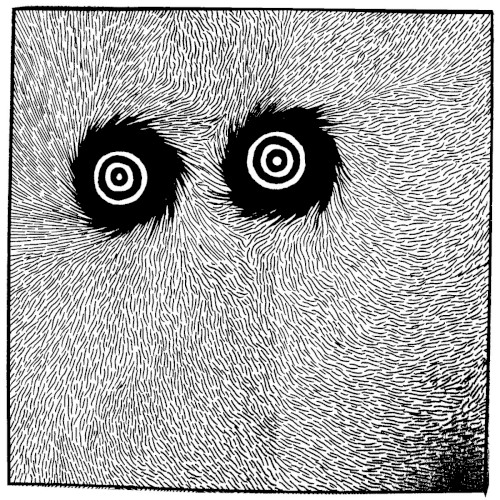 Svartvit/OHMU/SBFH split