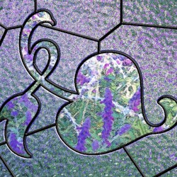 Five Oriental Winds