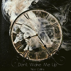 Don’t Wake Me Up