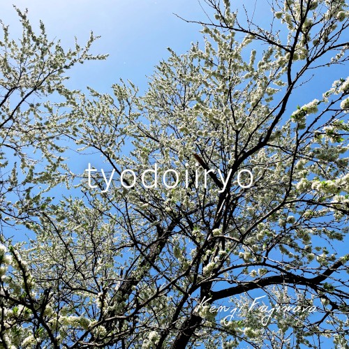 tyodoiiryo