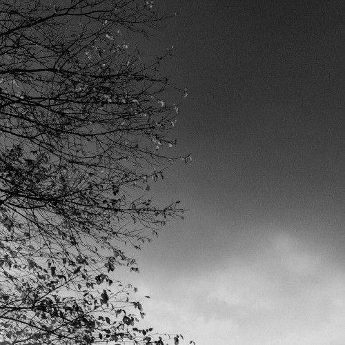 January