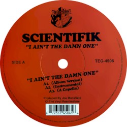 I Ain't The Damn One / Bitch I Don't Need Ya