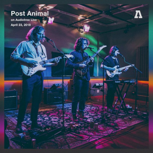 Audiotree Live