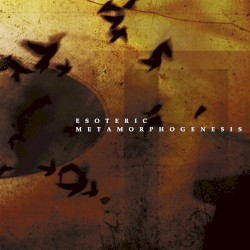 Metamorphogenesis