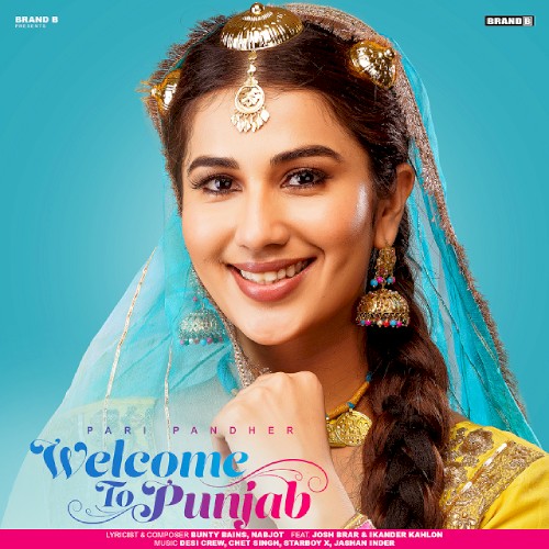 Welcome To Punjab